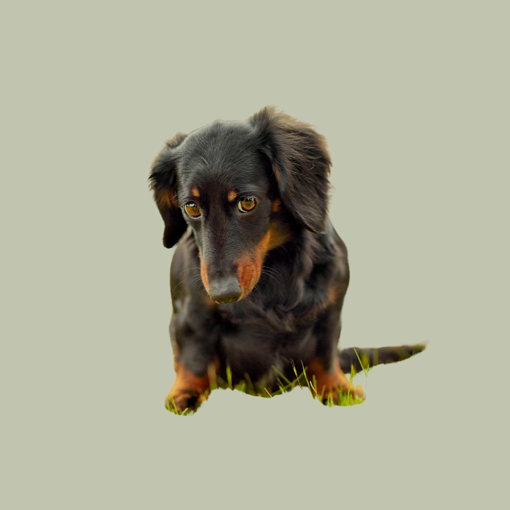 Luna - LuLiLu Luna - LuLiLu